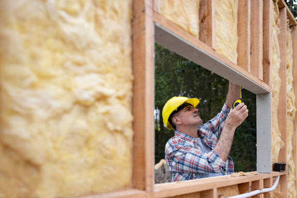 Best Insulation for New Construction  in USA